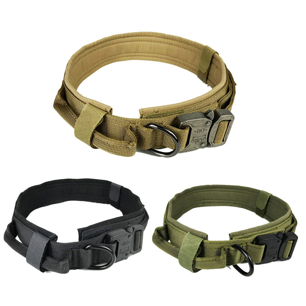 Classic Dog Collar