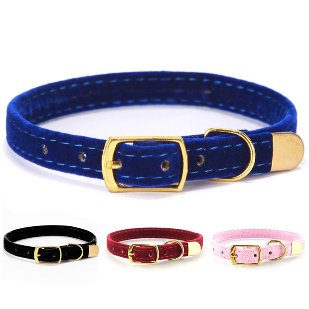 Everyday Cat Collar