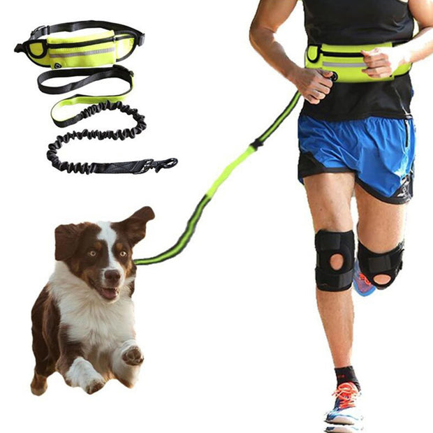 Hands-Free Bungee Dog Leash with Waist Belt