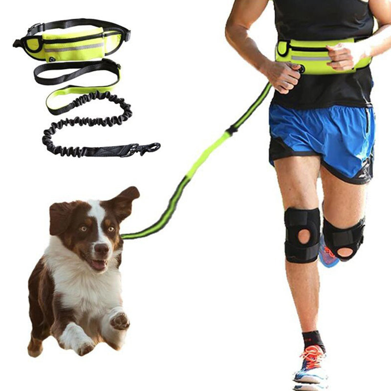 Hands-Free Bungee Dog Leash with Waist Belt