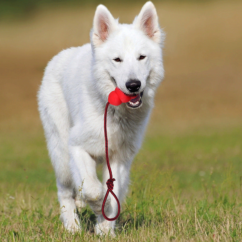 Natural Rubber Rope Tug Toy for Dogs