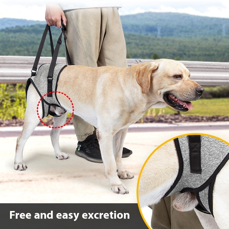Supportive Dog Walking Aid Harness